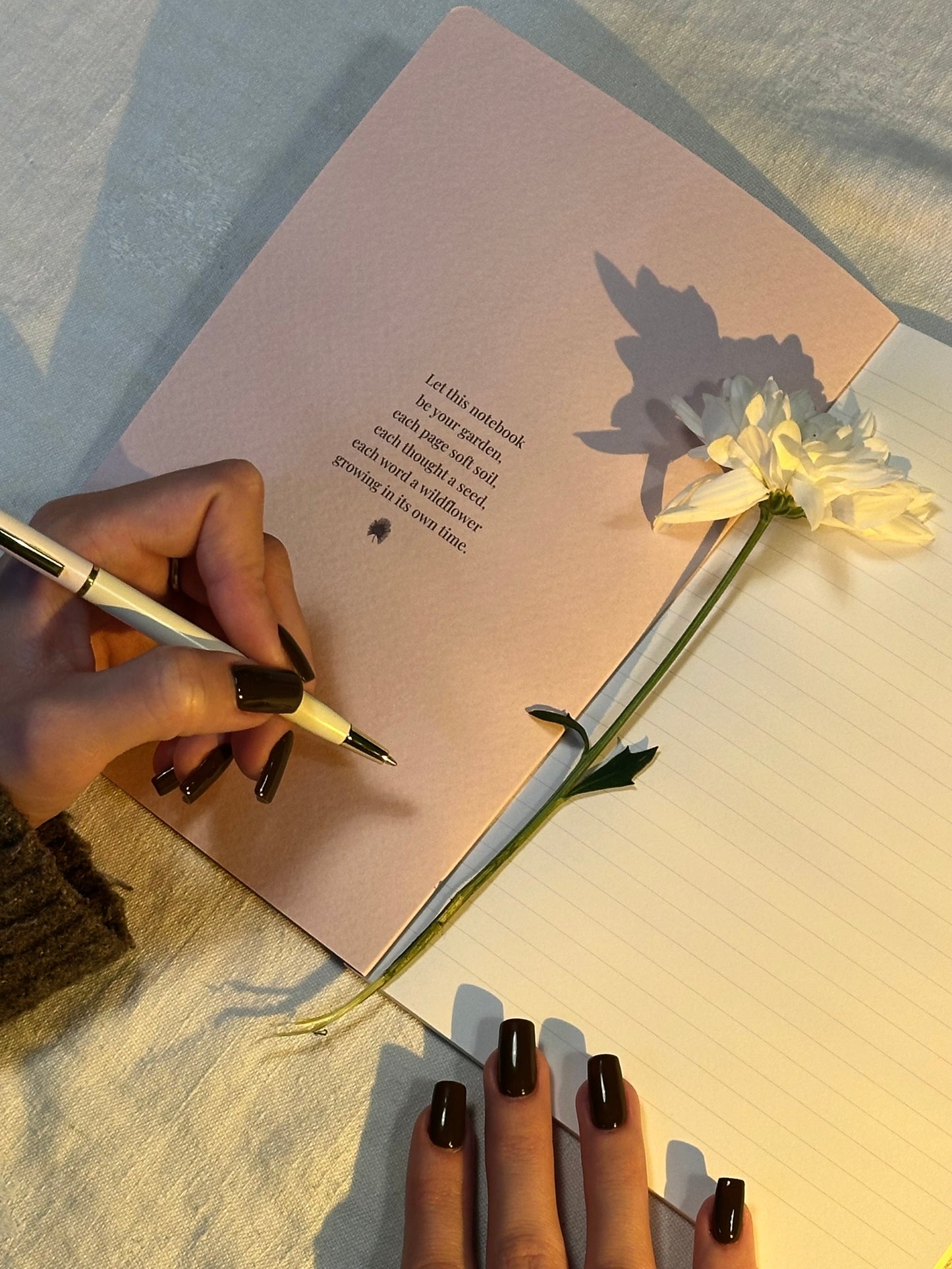 Collection de Journaux