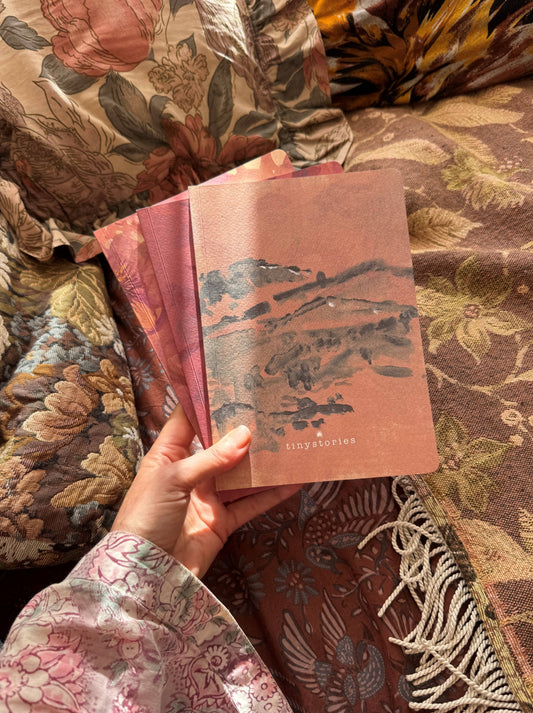 Collection de Journaux