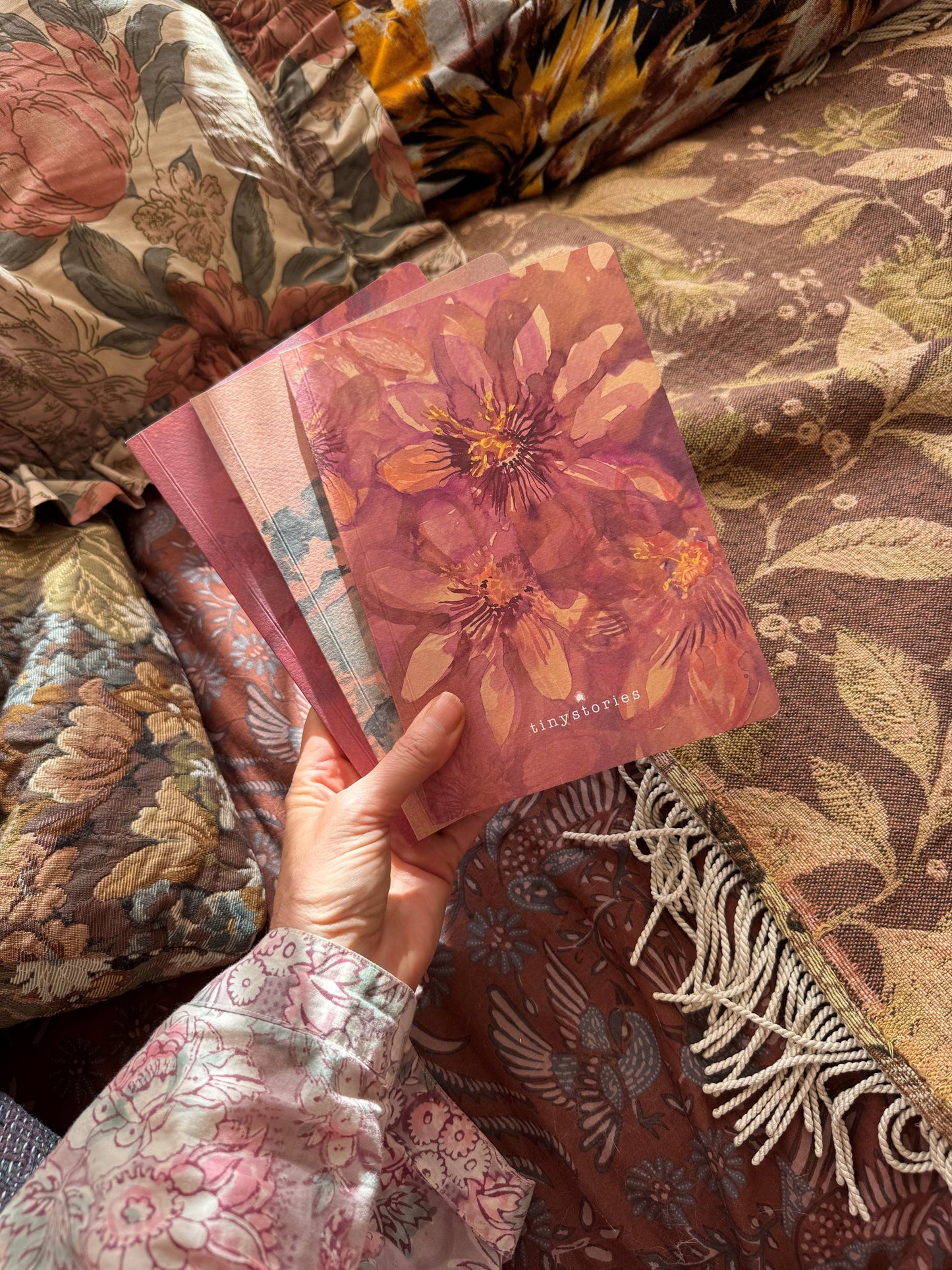 Collection de Journaux